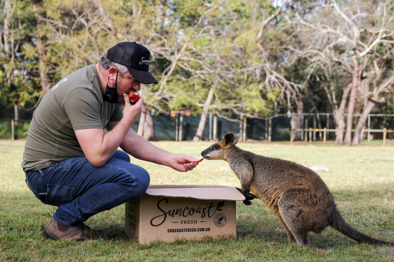 Graeme Twine Swap Wallaby Lone Pine Koala Sanctuary